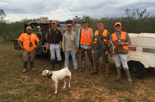 we have the dogs and gear to get you the best quail hunting for you or your group.